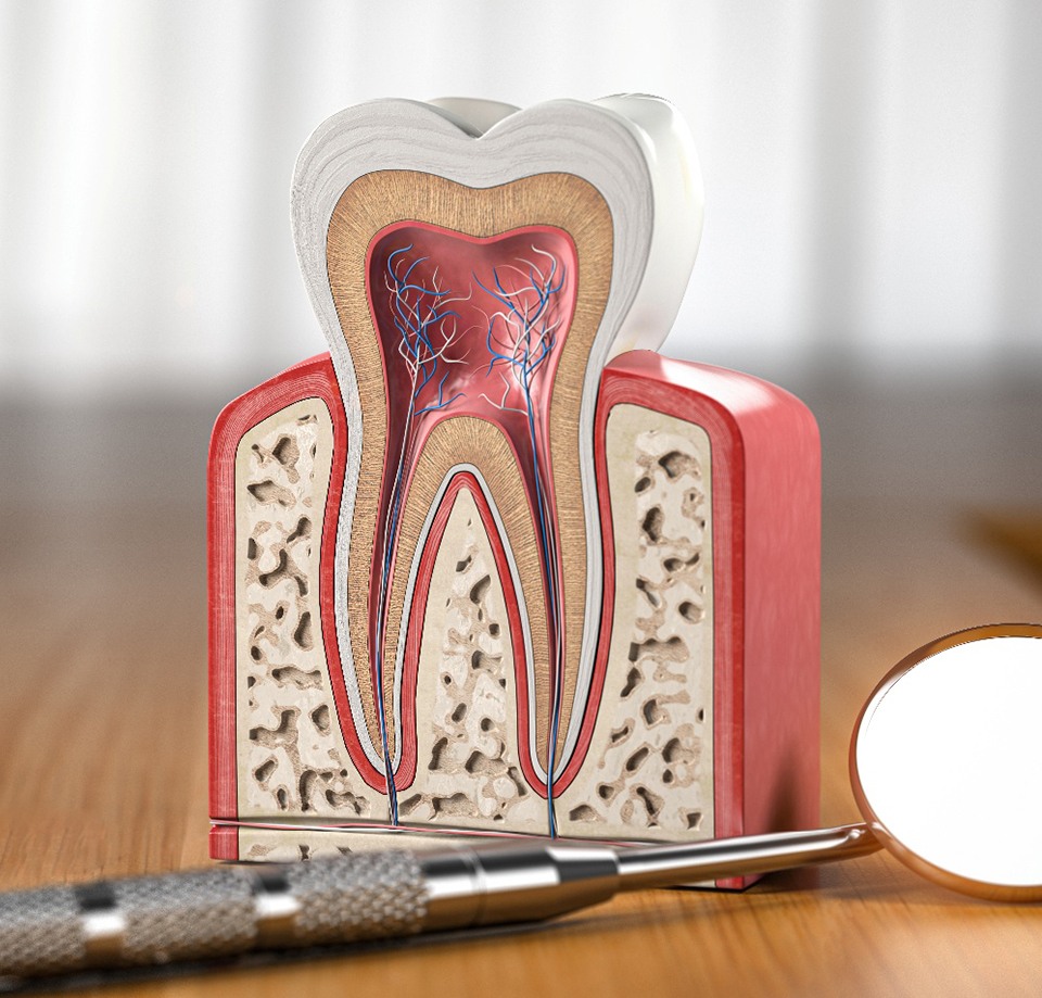 Dental mirror lying next to model of tooth on desk